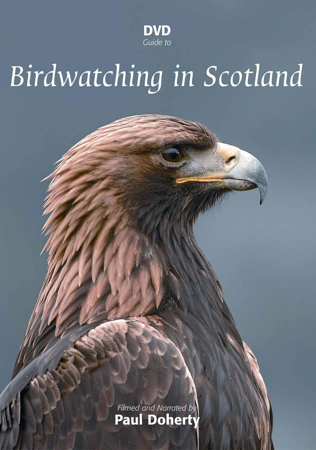 Evita errores de avistamiento con el DVD de aves de Escocia guía práctica del Reino Unido