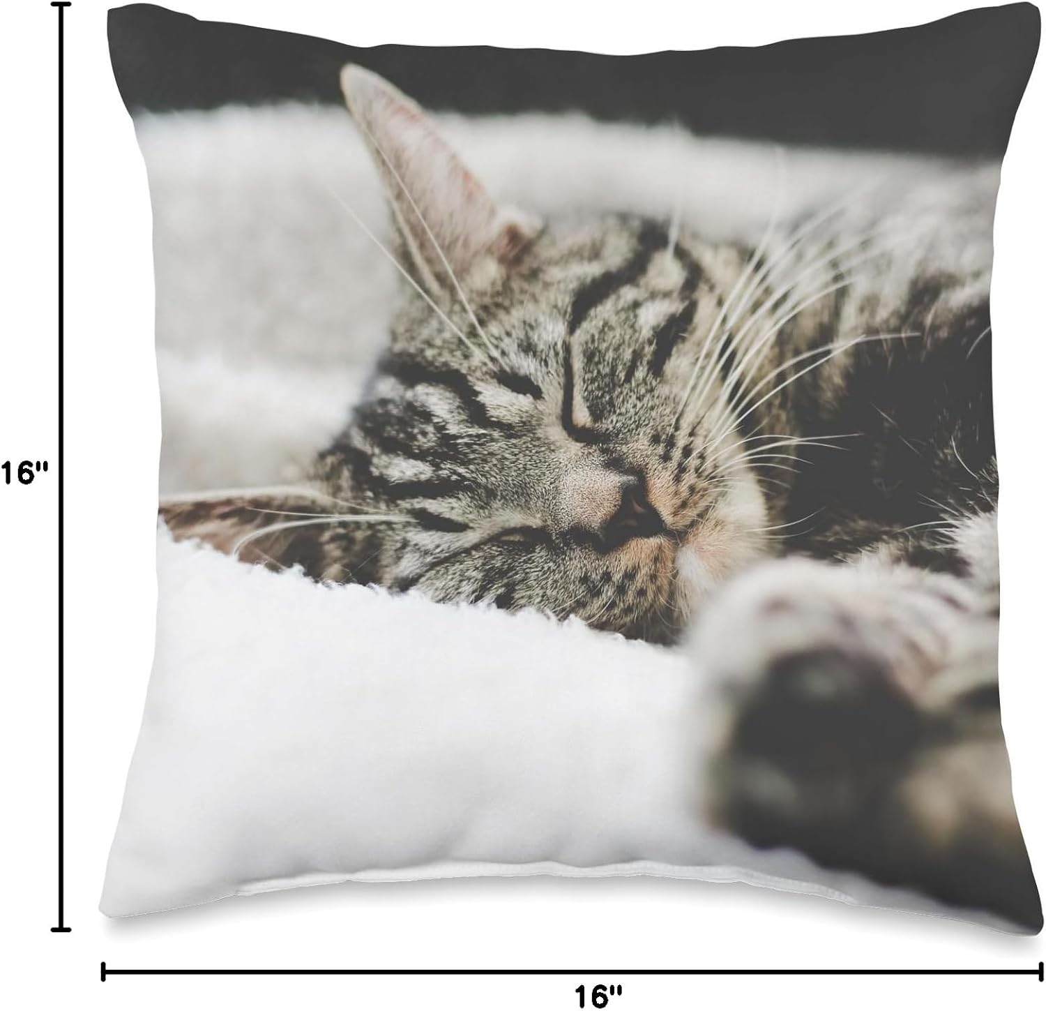Tabby Cat Throw Pillow