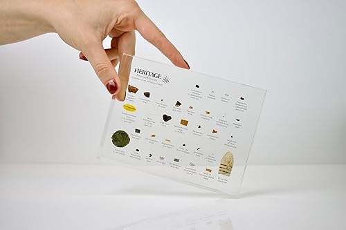 Miniatura 8 de Heritage Personal Museum, un mini museo de historia natural, 33 artefactos