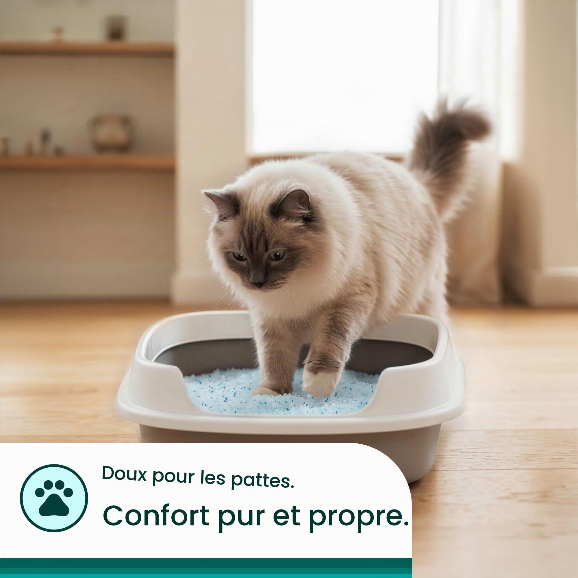 Litter Pearls Micro Fresh 10609 Litière pour Chat en Cristal Non agglomérante avec odorbond, 3,2 kg, Cristaux Blancs, Transparents et Bleus