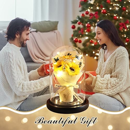 Miniatura 22 de Regalos de rosas de Navidad para mujeres, regalos de cumpleaños, rosa de la Bella y la Bestia en cúpula de cristal con 2 modos de luz, ramos de Rosa