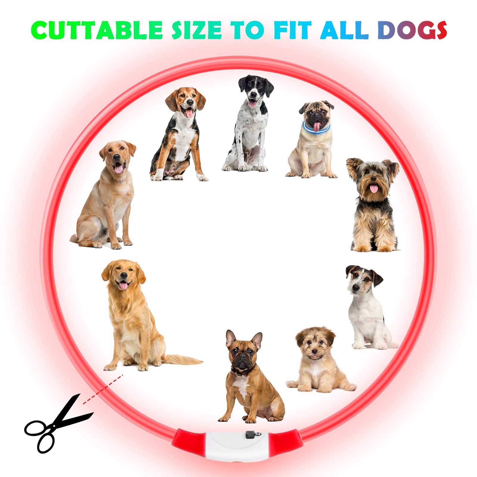 AUAUY Collare per Cani luminoso, Collare per Animali Domestico LED Ricaricabile USB, Impermeabile Tagliabile Collare Regolabile Adatto per Cani Gatti Taglia Piccola Media Grande（Rosso）