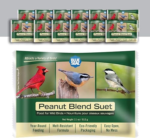 Blue Seal Tortas de sebo de mezcla de maní para aves silvestres, alimento para pájaros carpinteros, cardenales, mariquitos, gorriones y más,