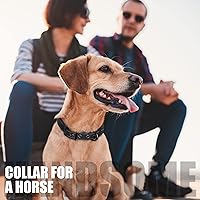 Vista 7 de Fida Collar para perro resistente, ultra cómodo y acolchado de neopreno suave, collar de nailon reflectante ajustable para mascotas con hebilla