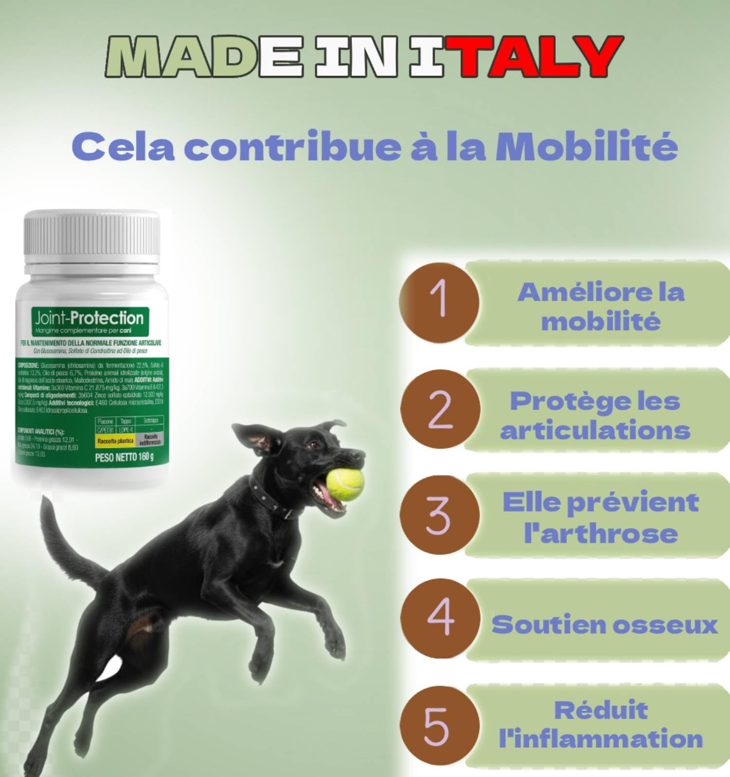 Joint-Protection Compléments Alimentaires Chondroprotecteurs Premium pour Chiens Cat Anti-Arthrose, Améliore la Mobilité Articulaire et Le Cartilage Made in Italy