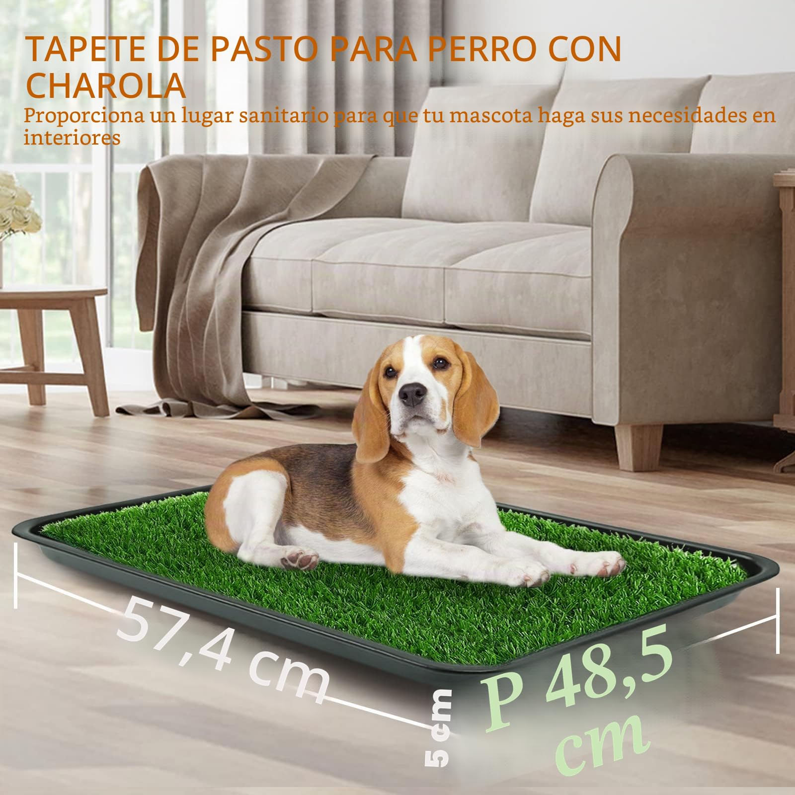 50X60CM Inodoro para Perros, Pipican para Perros en Casa,Bandeja Empapadores, Alfombra de Césped Artificial con Bandeja, Tapete de Entrenamiento para Mascotas para Interiores y Exteriores