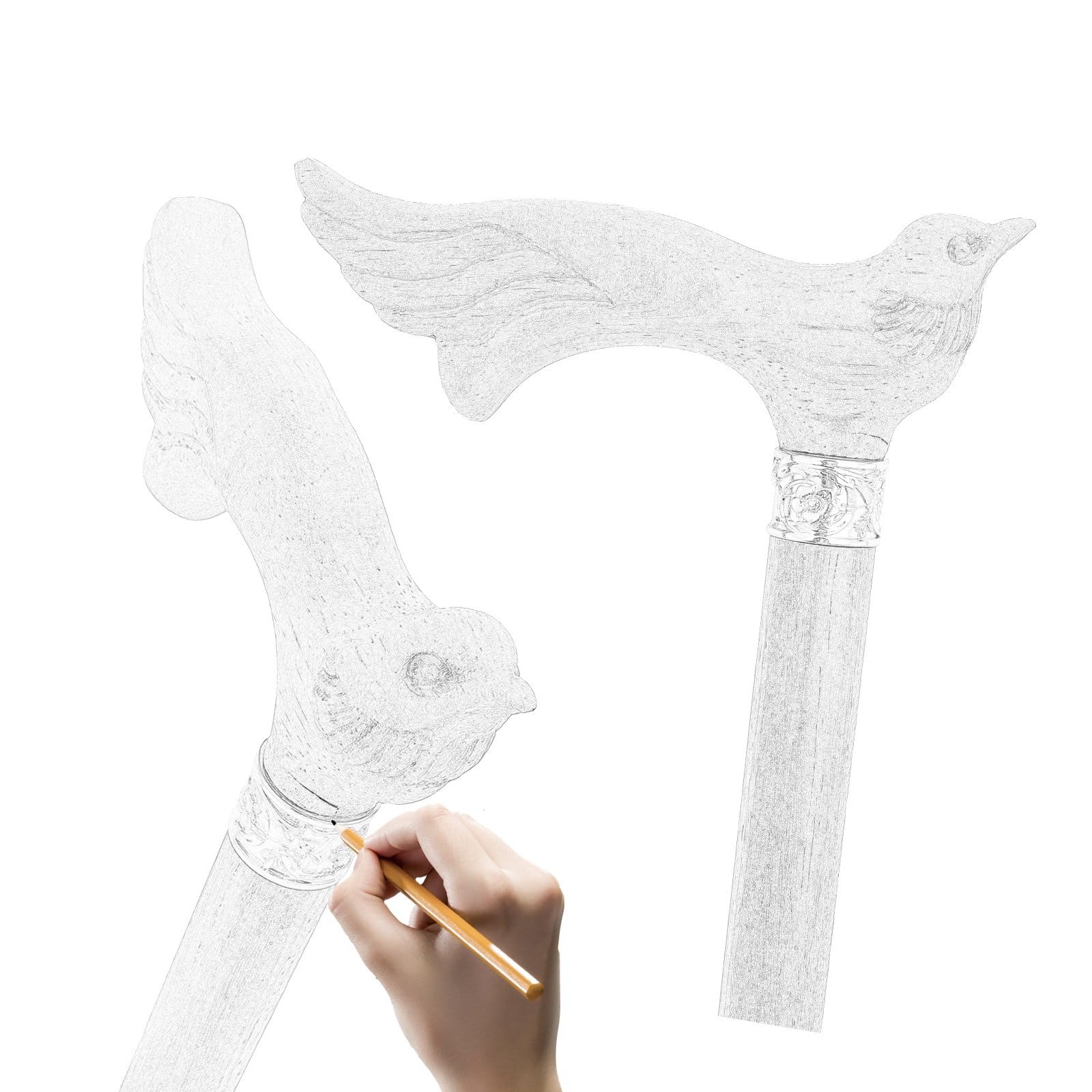 Bastone da Passeggio in Legno Con Uccello Rosso 91 Cm, Bastone Smontabile Unisex, Manico Ergonomico e Punta in Gomma Antiscivolo