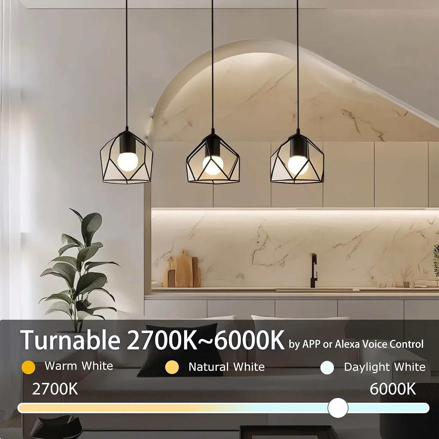 ILC G25 Globe Light Bulbs, App-Controlled Vanity Light Bulbs with Bluetooth Mesh, Color Changing, 1600 Million Colors, 6W, 60W Equivatlent, 600LM, CCT: 2700K-6000K, CRI>95+, E26 Base (6 Pack) 6 71bn3THG2vL. AC SL1500