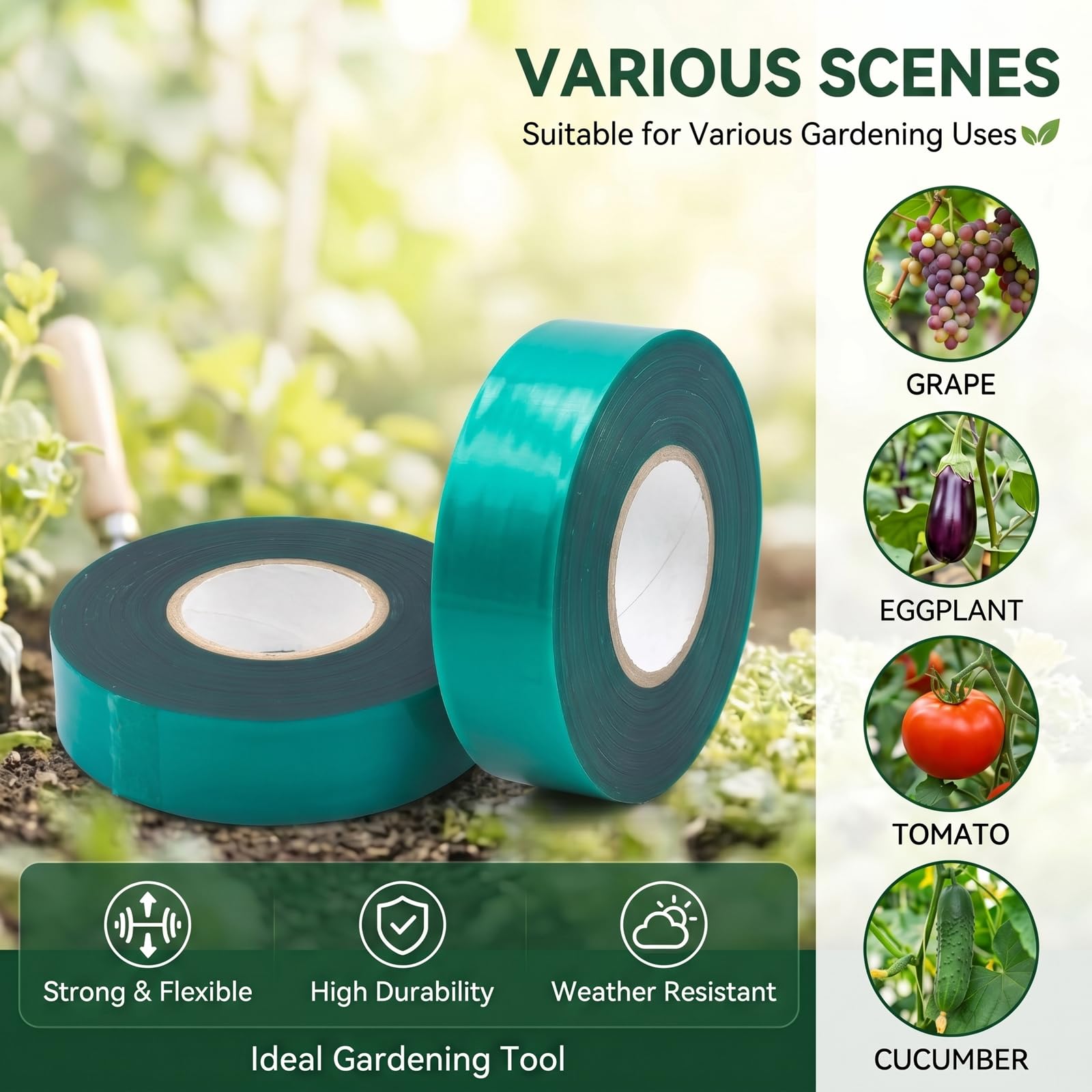 2 rollos de cinta elástica para atar plantas de jardín, cinta gruesa para plantas, estaca de vinilo verde para uso en interiores y exteriores, 2,5 cm de ancho por 40 m de largo