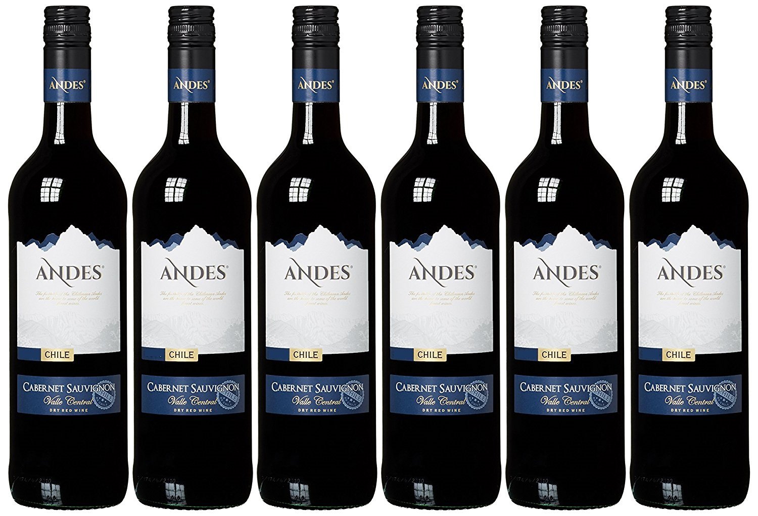 Andes Cabernet Sauvignon Trocken (6 x 0.75 l)