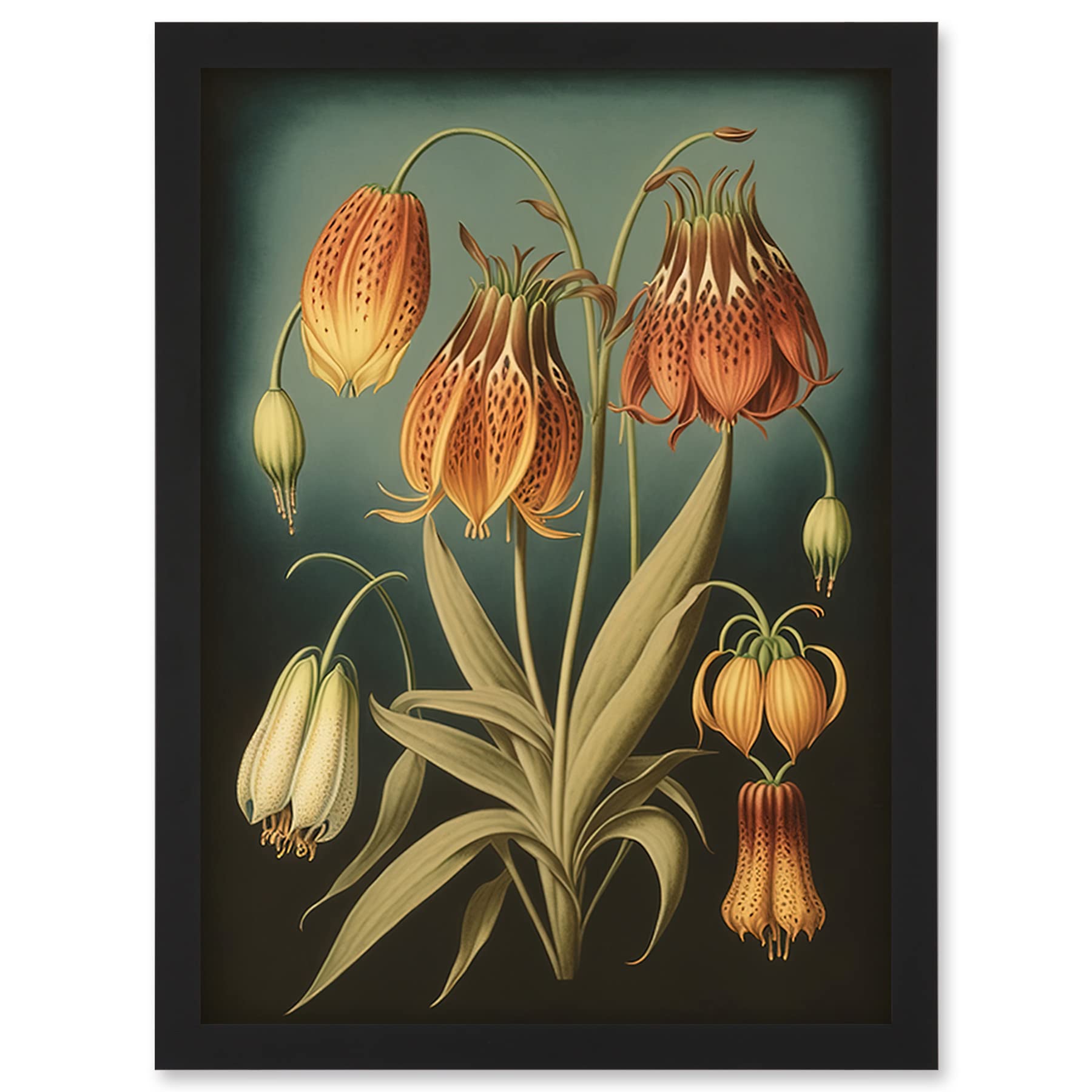 Fritillaria Flower Plant Art Print - Ernst Haeckel Inspired - Modern Watercolour Illustration - Framed Wall Art - A4