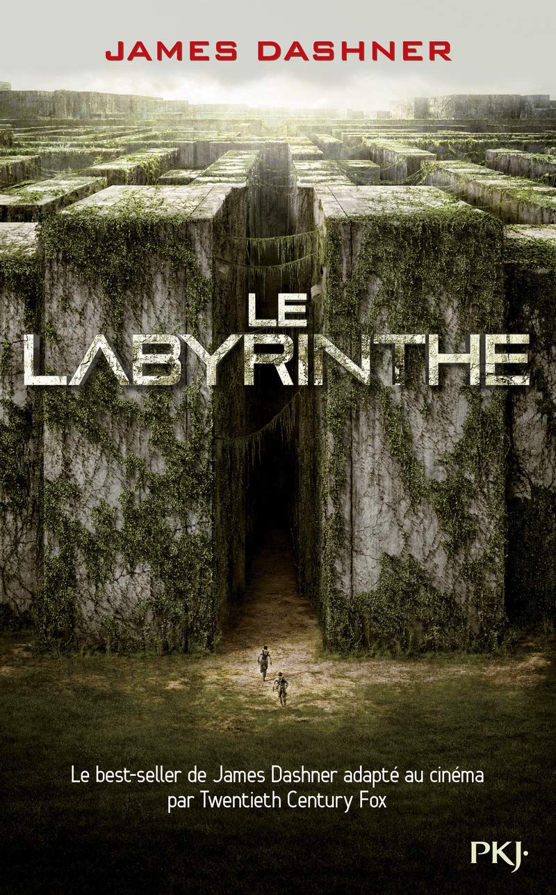 Le Labyrinthe 1 Gratuit 1. L'épreuve : Le labyrinthe : Dashner, James, Fournier, Guillaume:  Amazon.fr: Livres