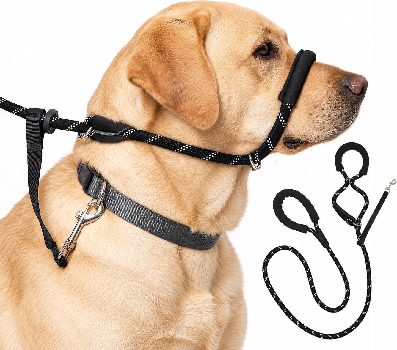 Figure of 8 Dog Lead, 1.8 m Reflective Rope with Padding and Safety Clip