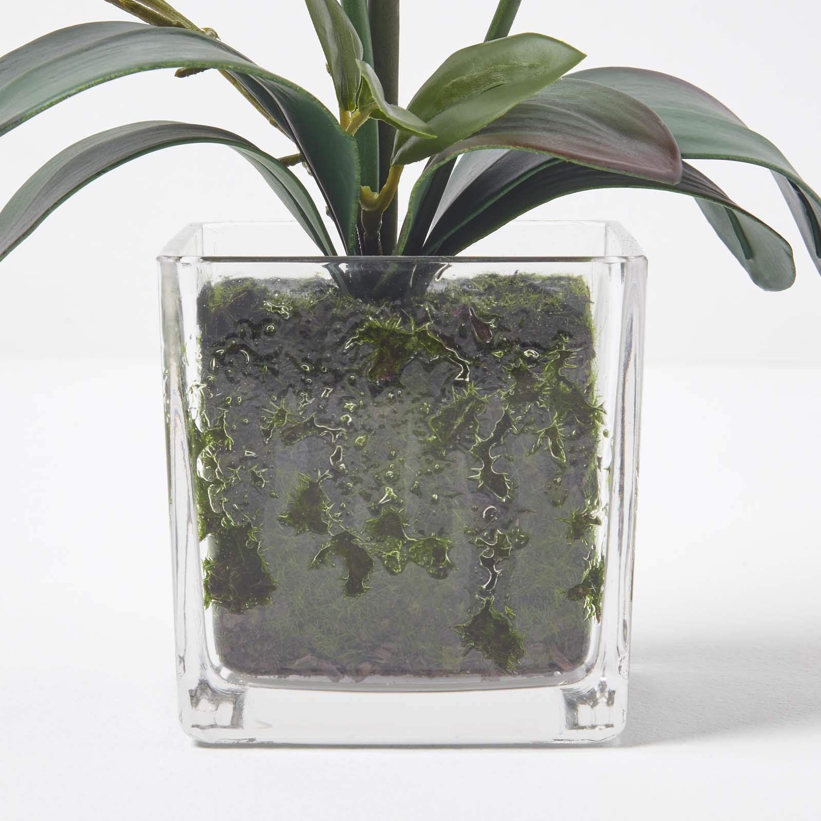 Orchidea Artificiale Bianca In Vaso Ceramica HOMESCAPES – Pianta Finta Realistica Phalaenopsis 56 Cm - copertina