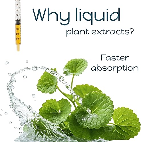 Miniatura 4 de Hawthorn + diente de león para gatos y perros  Suplemento de salud herbal, circulación, corazón saludable, equilibrio de líquidos, botella de vidrio