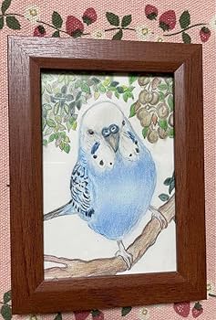 インコ　絵画 Amazon.co.jp: 色鉛筆画 リアル可愛いセキセイインコ色鉛筆画 原画