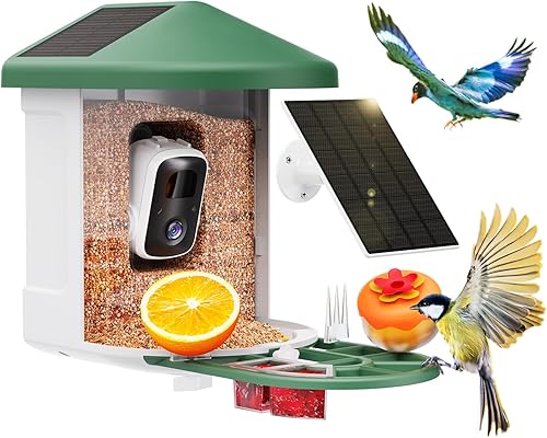 Comedero para pájaros con cámara con panel solar para identificar especies de pájaros, casa inteligente para pájaros con cámara, vista en vivo de