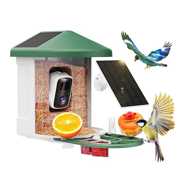 Bird Feeder with Camera with AI Identify Birds Species Solar Panel, Smart Bird House with Cam, 2K Live View, Instant Arrival Alerts