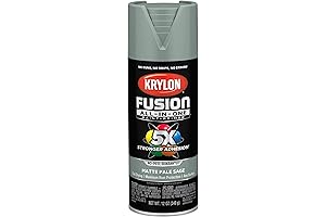 Krylon Fusion All-In-One Sage Spray Paint