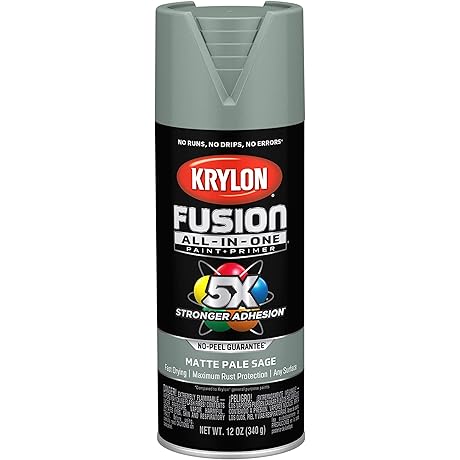 Krylon Fusion All-In-One Sage Spray Paint