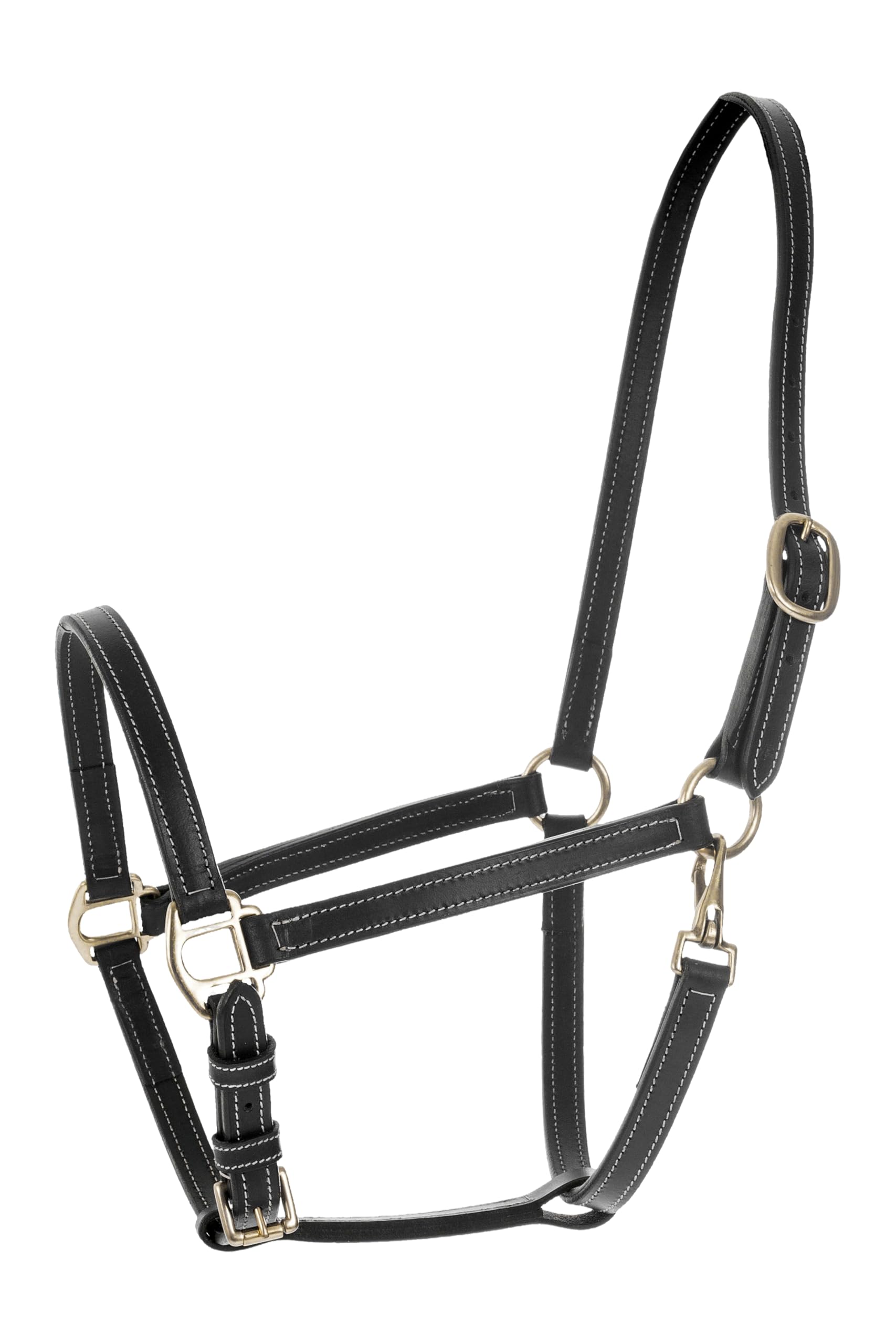 HORZE Cabezada de Cuadra de Cuero Fremont, Negro, XF