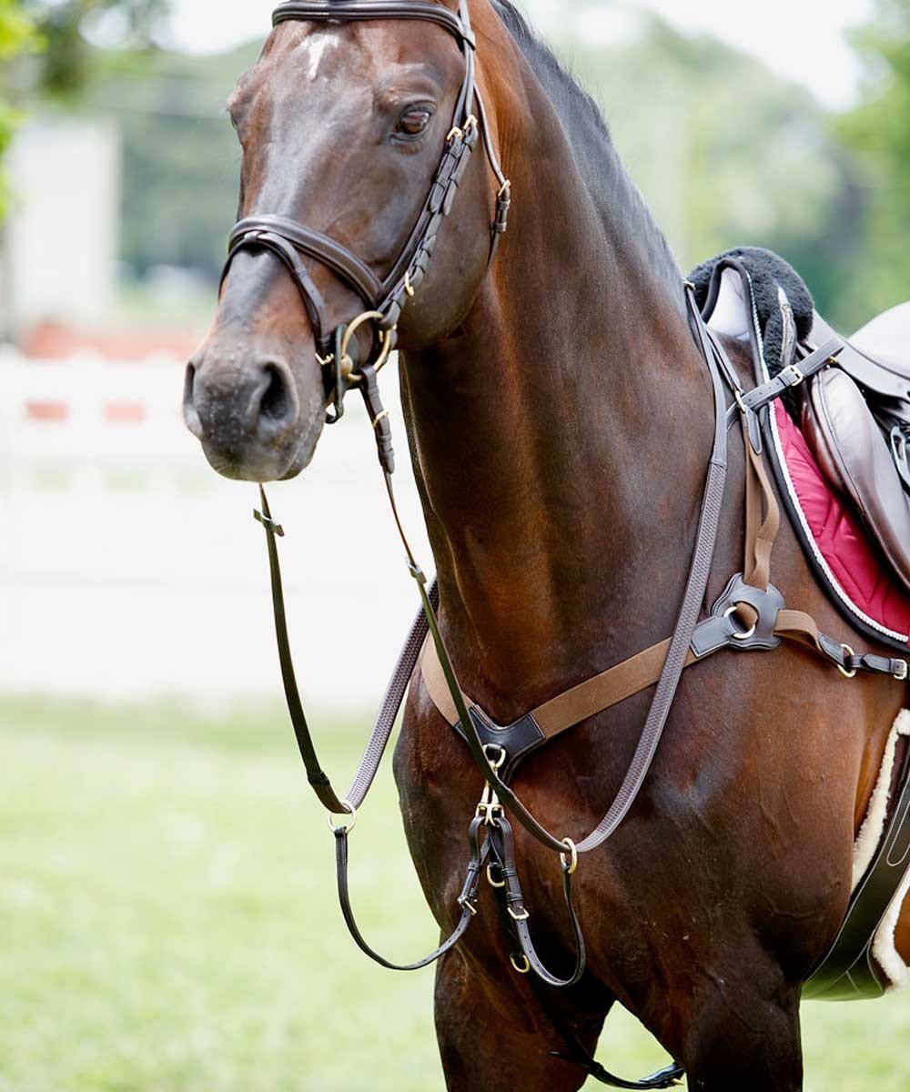 Tattini Collar de Caza para Caballos con martingala