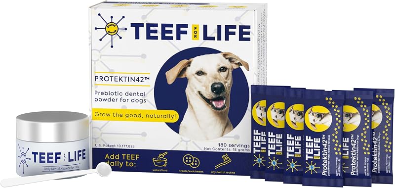 TEEF FOR LIFE Protektin42 Pó Prebiótico Dental para Cães, Ingredientes Vegetais, 180 Porções