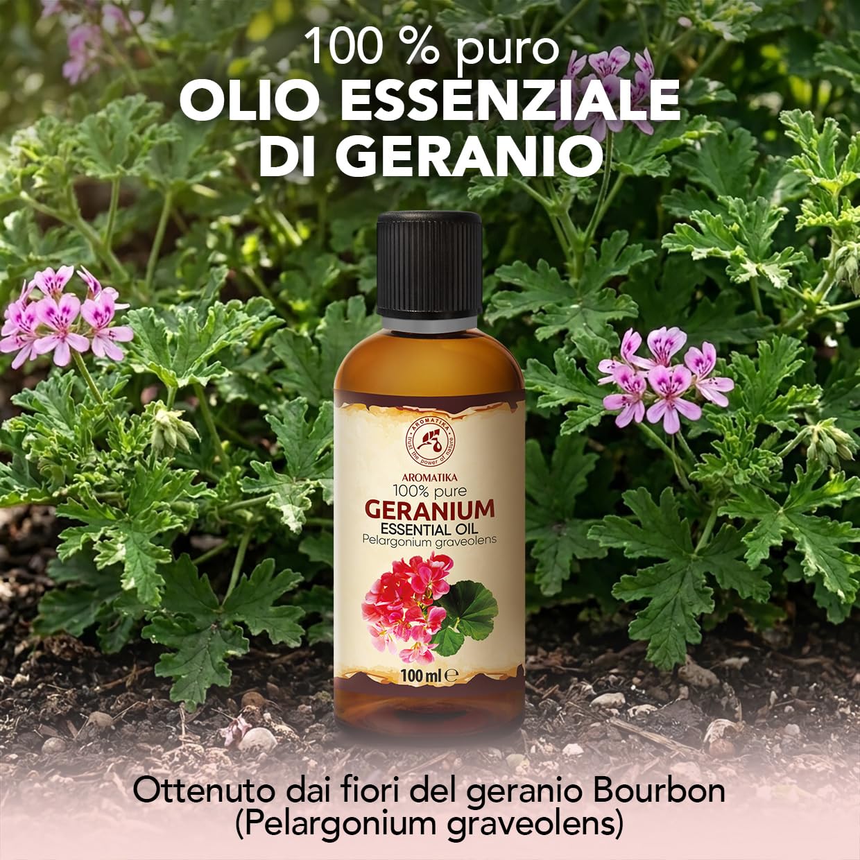 Olio Essenziale di Geranio 100 ml - per Diffusori e Aromaterapia