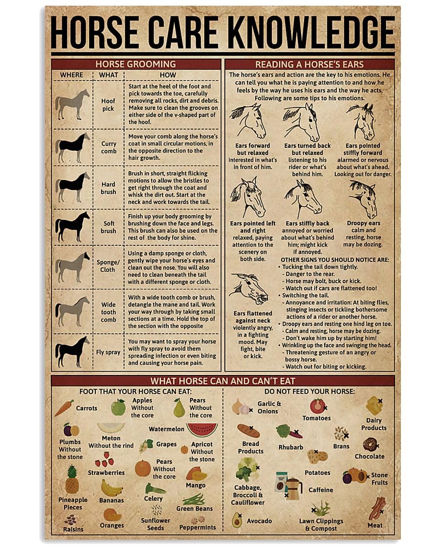 peiyeety Horse Care Knowledge Metal Tin Signs Horse Care Information Retro Poster Popular Science Educational Charts Wall Plaques Decor For Home Classroom Room Office 12x18 Inch