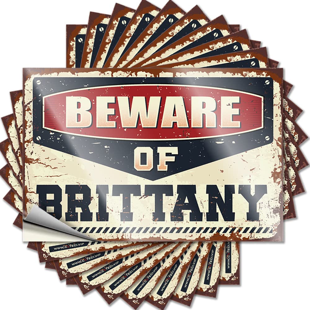 Beware of Brittany Vintage New - Decals Accessory Removable Vinyl Decal(8X12CM)