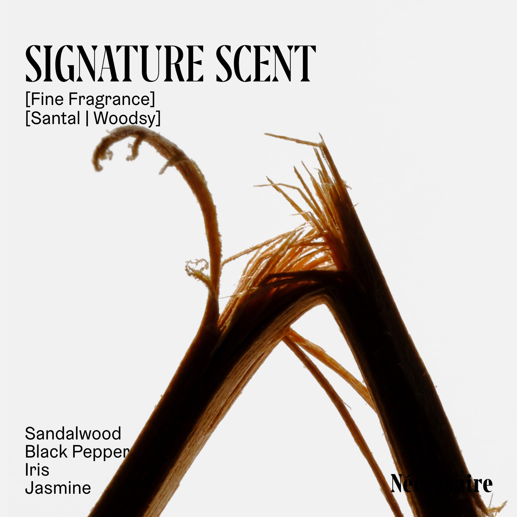 Nécessaire The Body Lotion - Fragrance-Free - Multi-Peptide Moisturizer - Firming Body Lotion for Women + Men. 2.5% Niacinamide. Non-Comedogenic + Hypoallergenic for Sensitive Skin – 450ml/15.2 fl oz: Santal 6.8 Fl Oz (Pack of 1)