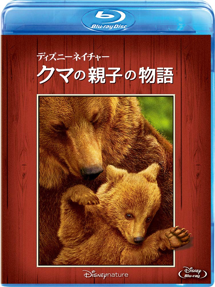 クマのキャラクター DVD AM7079 よいこの童謡 森のくまさん 子供たちに人気の20曲 DVD - メルカリ