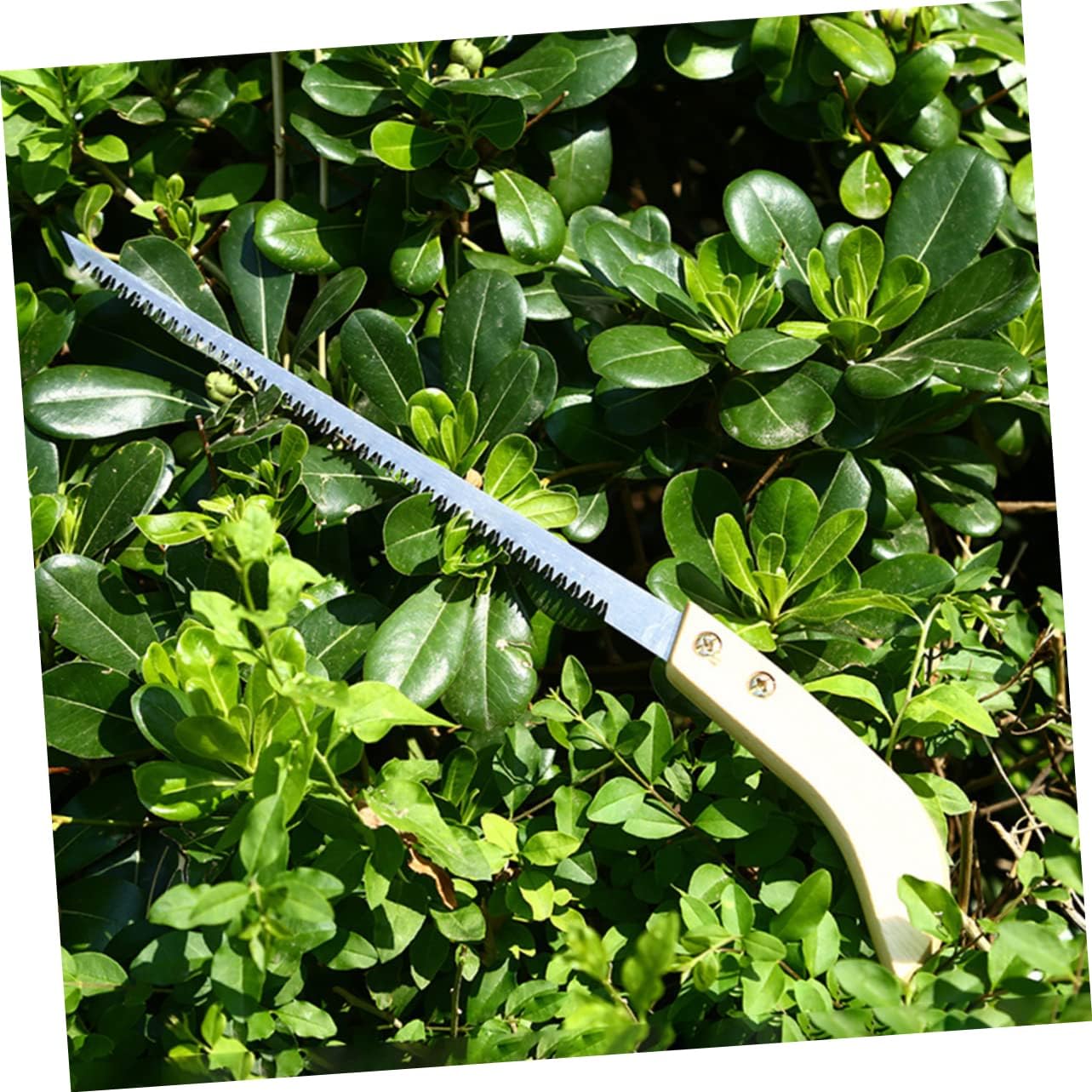 Happyyami 6 Pcs Garden Pruning Saw Tools Mini Saw for Crafts Wood Saw Hand Tree Saw Hand Saws Hand Held Saw Wood Cutter Metal Cutting Saw Small Saw Cutting Machine Pocket Manganese Just