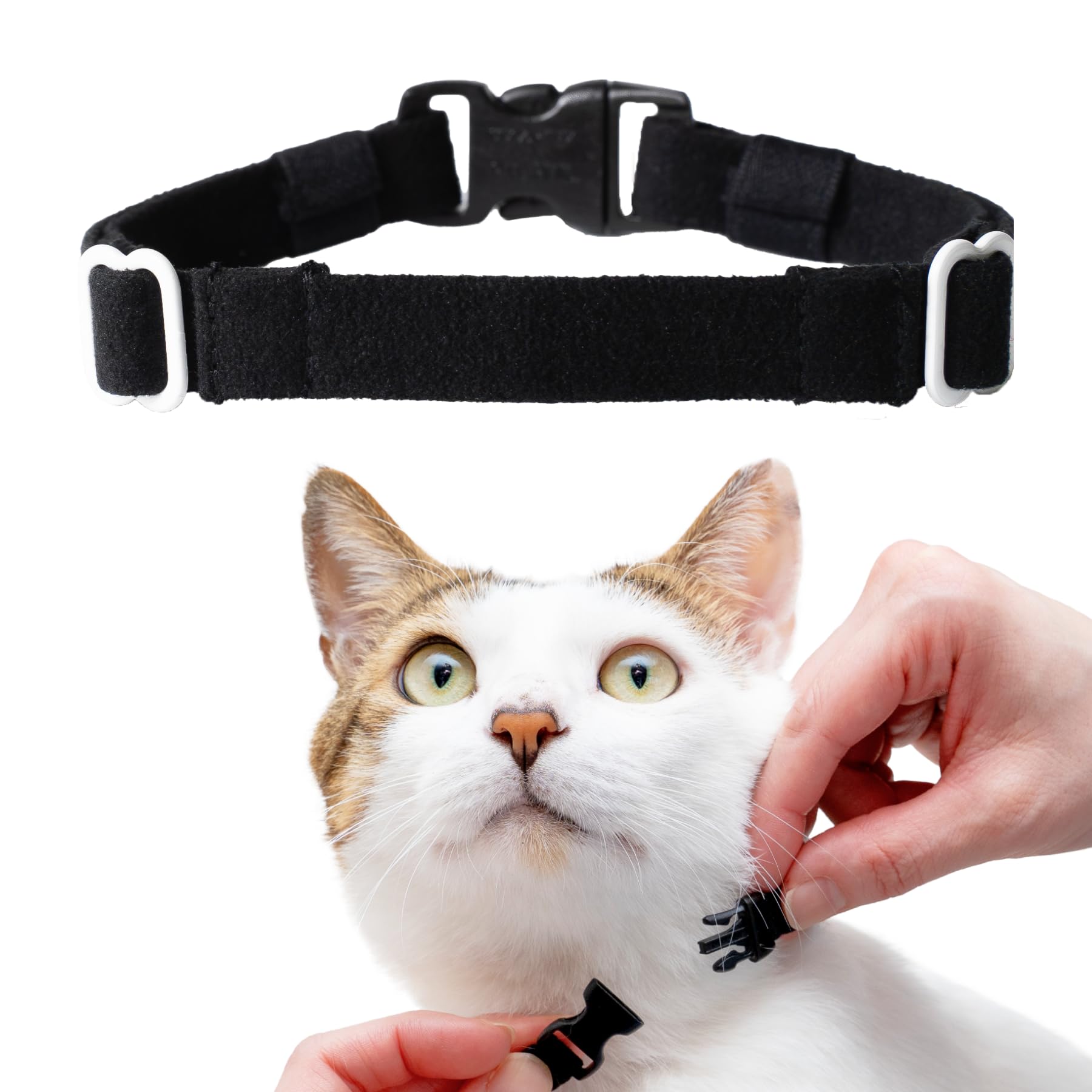 Amazon | 猫の練習用首輪 超軽量 ハゲにくい セーフティバックル 首輪