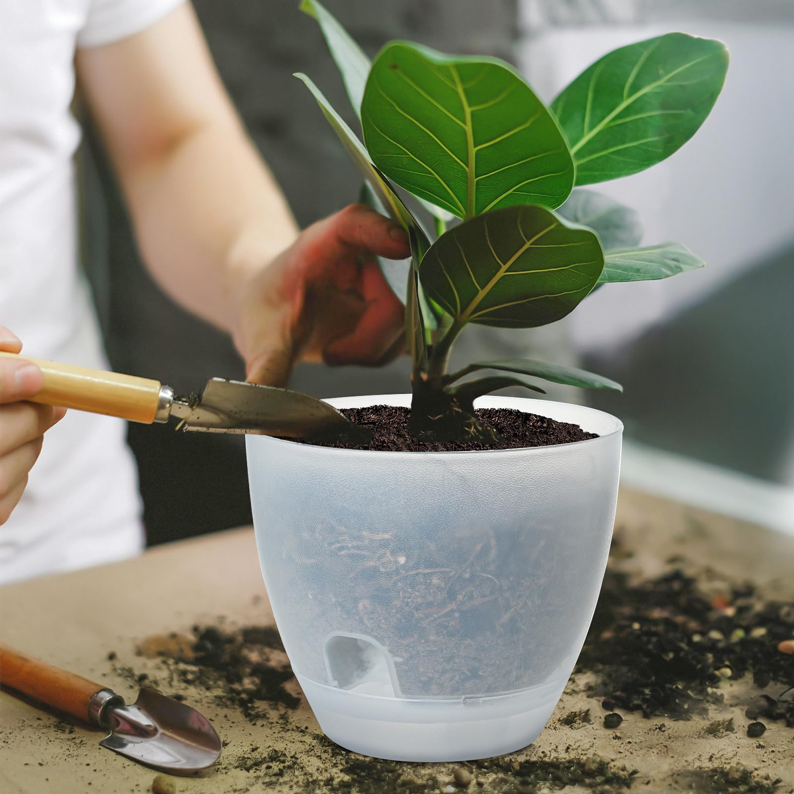 Snapklik.com : IWNTWY Plant Pots 6 Inch Set Of 10, Clear Self Watering ...