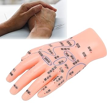 Amazon.co.jp: 左手経穴モデル、柔軟な曲げ可能な手ツボ