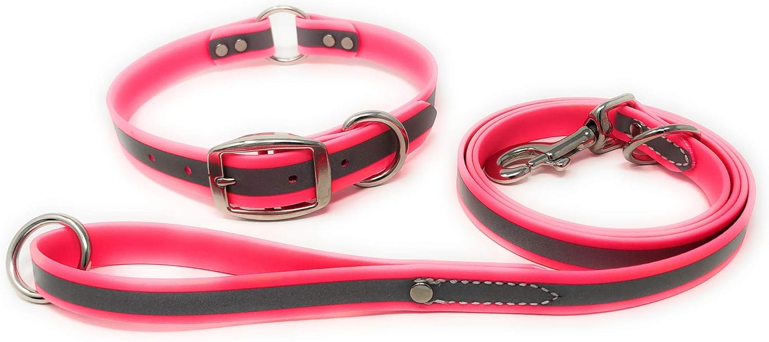 Regal Dog Products Medium Pink Reflective Dog Collar and Leash Set - Waterproof Biothane Dog Collar with Heavy Duty D Ring, Center Ring & 5'ft Leash for Training - Other Sizes for Small & Large Dogs
