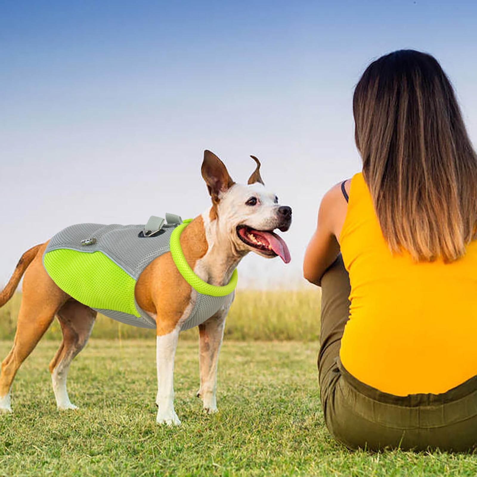 Gilet rafraîchissant pour Chien, Manteau rafraîchissant pour Chien avec Laisse, Manteau rafraîchissant pour Chiens de Petite, Moyenne et Grande Taille, Veste rafraîchissante légère pour chie