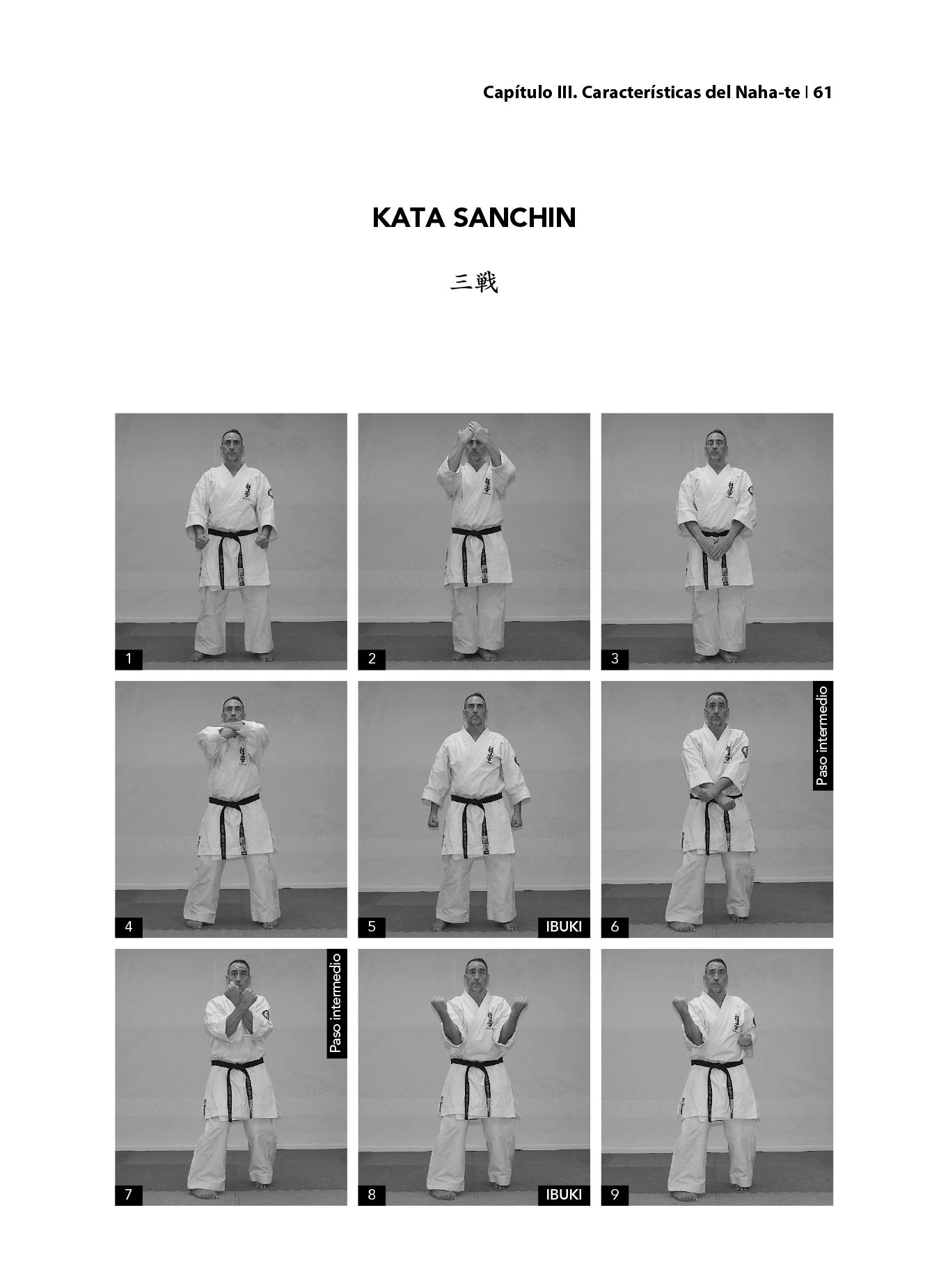 Kyokushin. Karate Kata Ôyô Bunkai (KATAS SUPERIORES I. La influencia de Shorei)