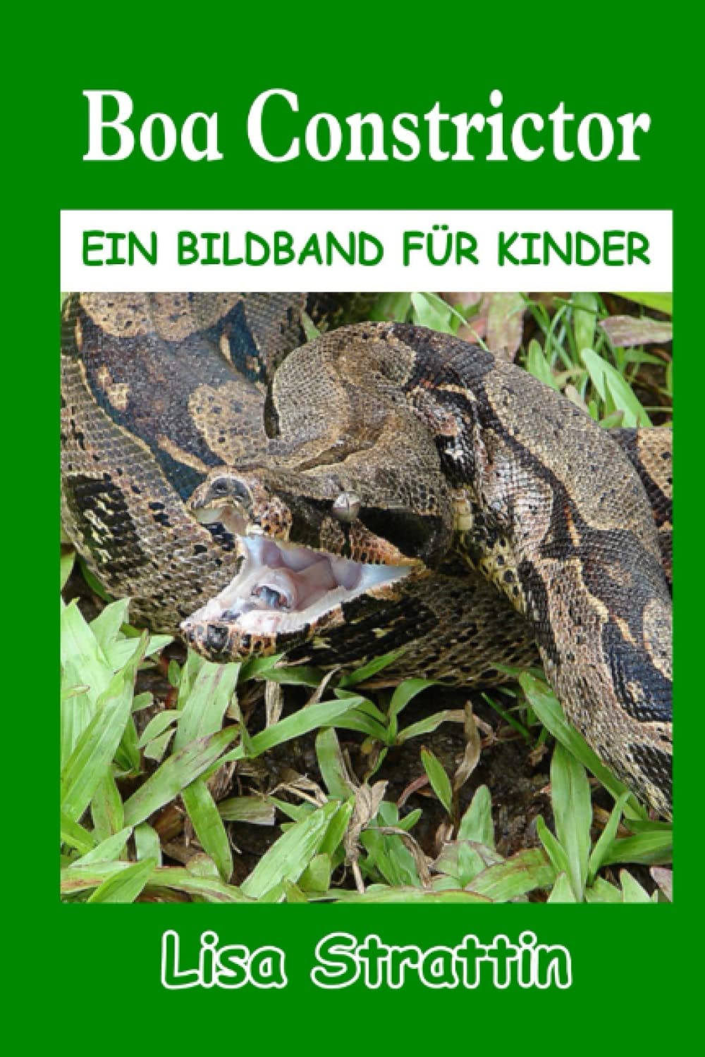 Boa Constrictor: Kinderbuch für Kinder ab 6-8 Jahren (Illustrierte Bücher für Kinder)