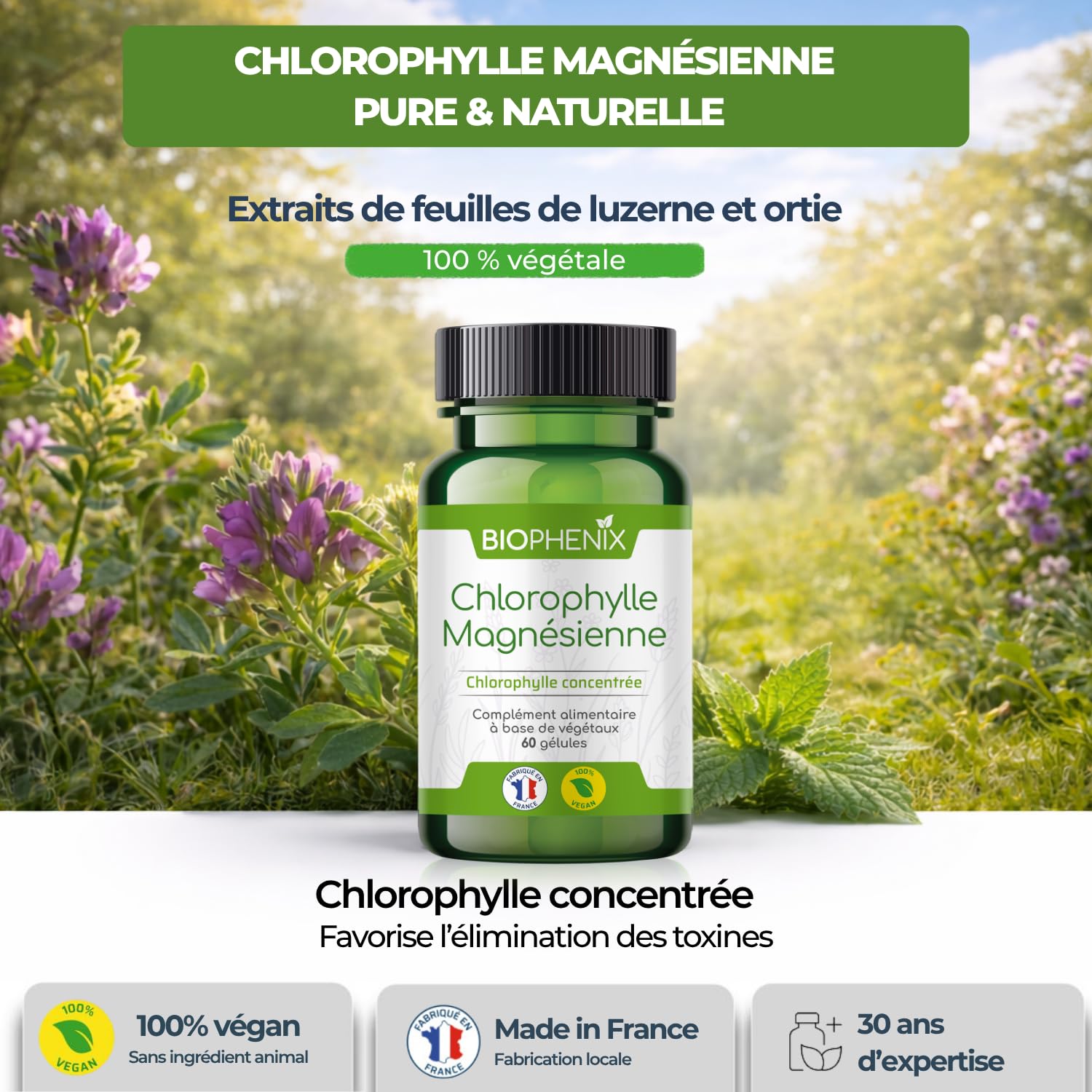 Biophénix - Chlorophylle Magnésienne 60 Gélules - Detox - Protection des Fonctions Digestives, Hépatiques et Rénales - 100% Naturel à Base de Végétaux - Fabriqué en France - 2 Gélules/Jour