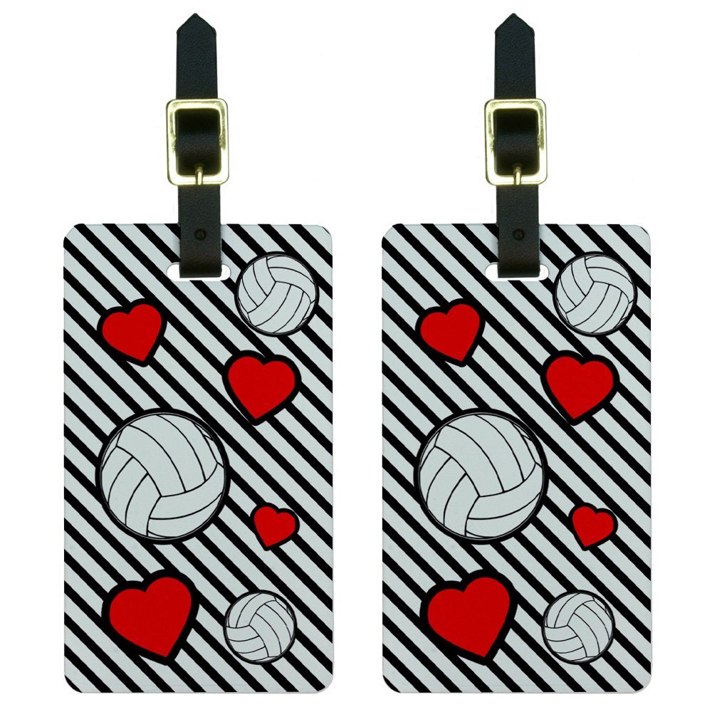 Volleyball Love Luggage Tags Suitcase Carry-On ID Set of 2