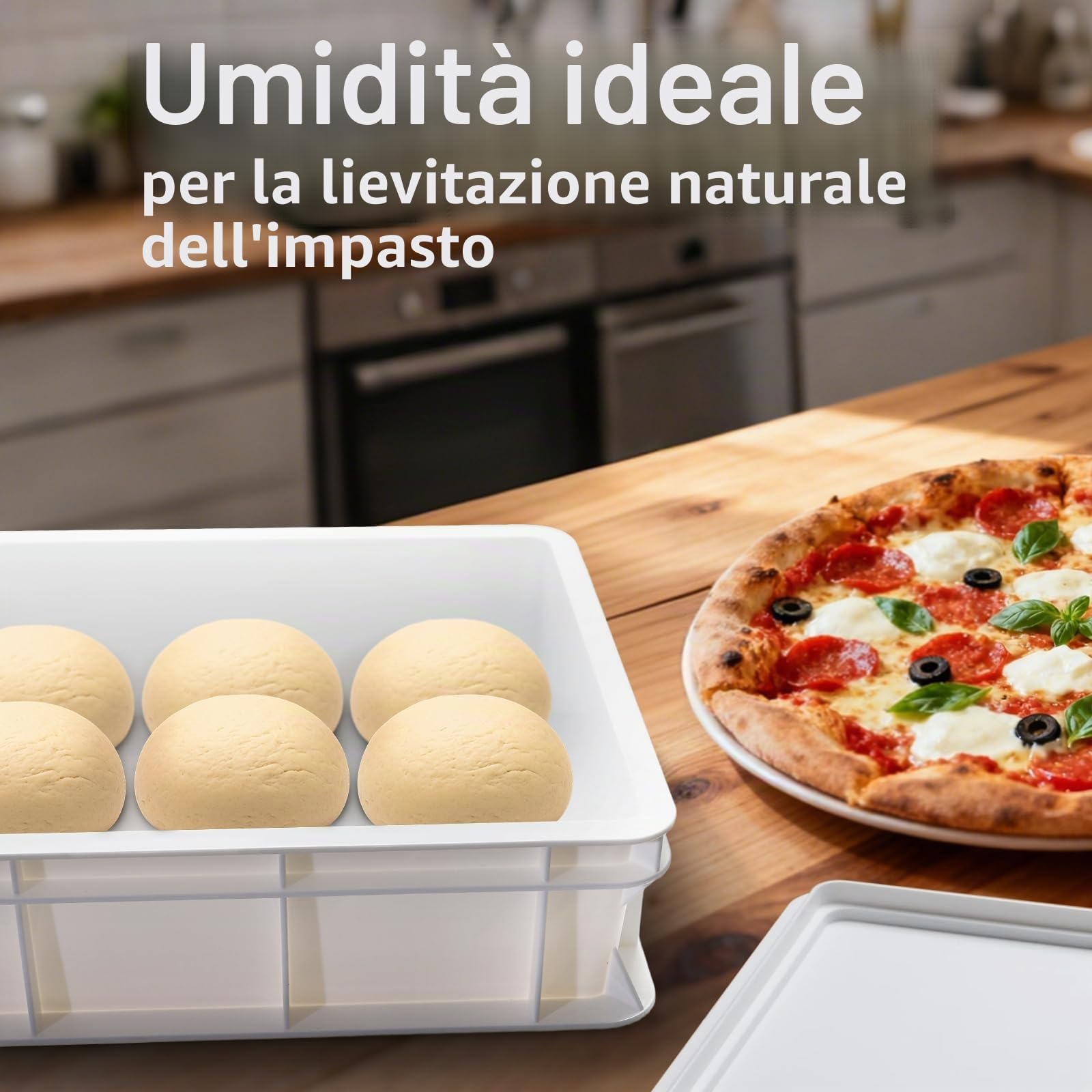 Cassetta per Lievitazione Pizza e Pane,Cassetta Portaimpasto,Contenitore per impastare,Contenitore per Impasto con Coperchio,Portaimpasto con Coperchio in plastica per impasto,pizza,pane (30x40x10cm)