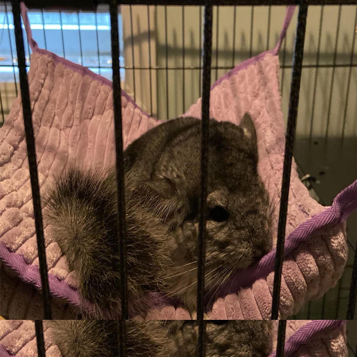 Kleintier-Hängematte, Frettchen-Hängematte, Hängematte und Tunnel, Hamster, Eichhörnchen, Zuckerschleuder, Meerschweinchen, Frettchen Zubehör, Hängeversteck Tunnel, Röhrenspielzeug für Käfig (lila)