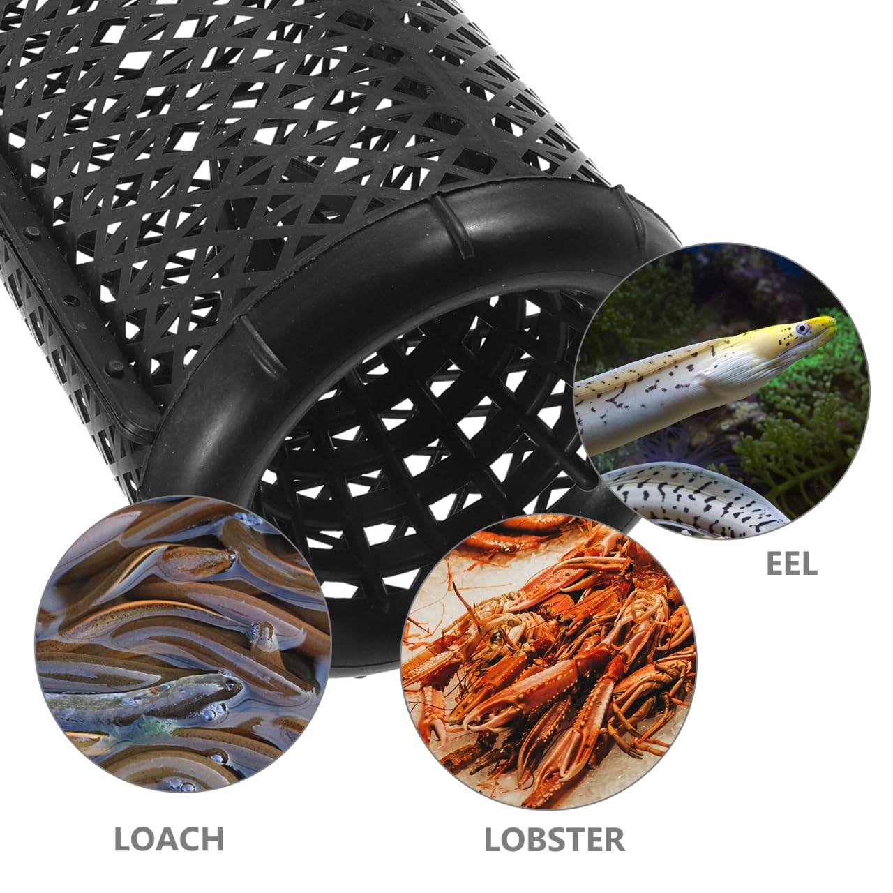 Sosoport Tragbare Wiederverwendbare Fischreuse Für Aal Krebs Mit Doppeltem Eingang Leichtes Netzmaterial Für Süß- Und Salzwasser Angeln 14.8X5.5X4.5 Zoll