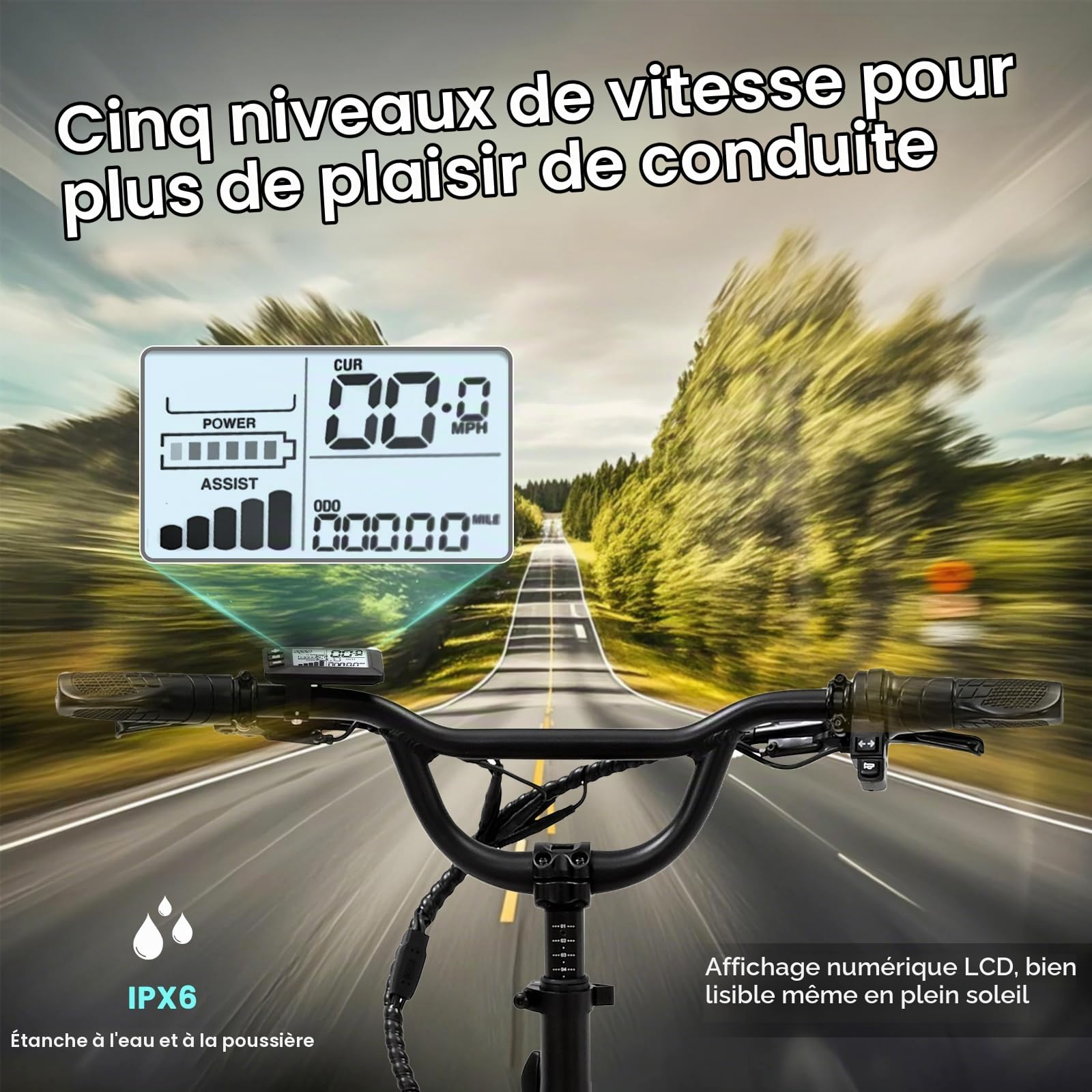 MOONCOOL VéLo Pliable E Bike, VéLo éLectrique 20 Pouces pour Hommes Et Femmes avec Batterie 36V 20 Ah, Moteur 250W, éCran LCD, Vitesse 25 Km/H, IP65, 45 NM, avec Grands Paniers