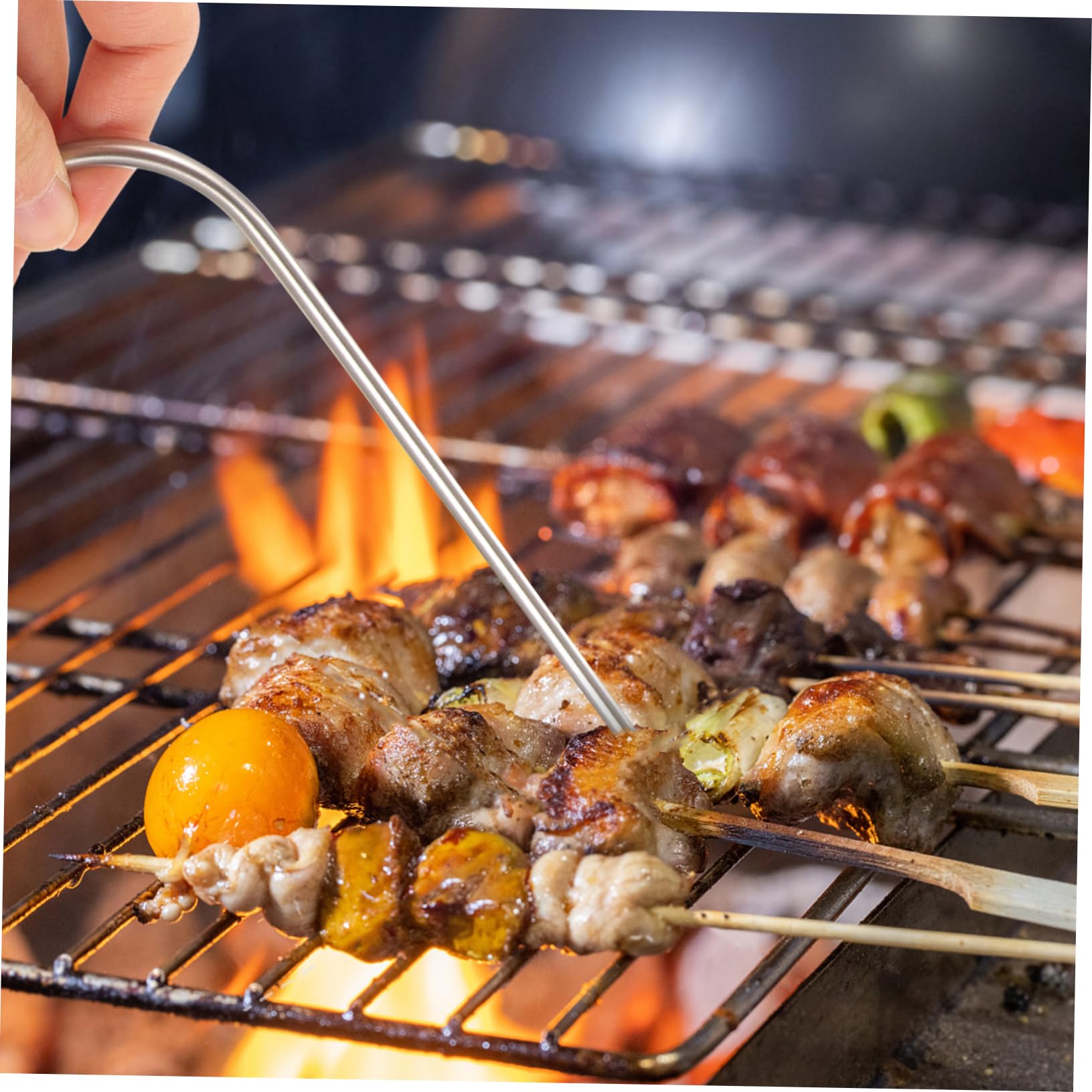 Ciieeo 1Set Meat Temperature Probe Replacement Lightweight Oven Grill Thermometer with Clip for Cooking Camping Grilling Picnics Easy to Store