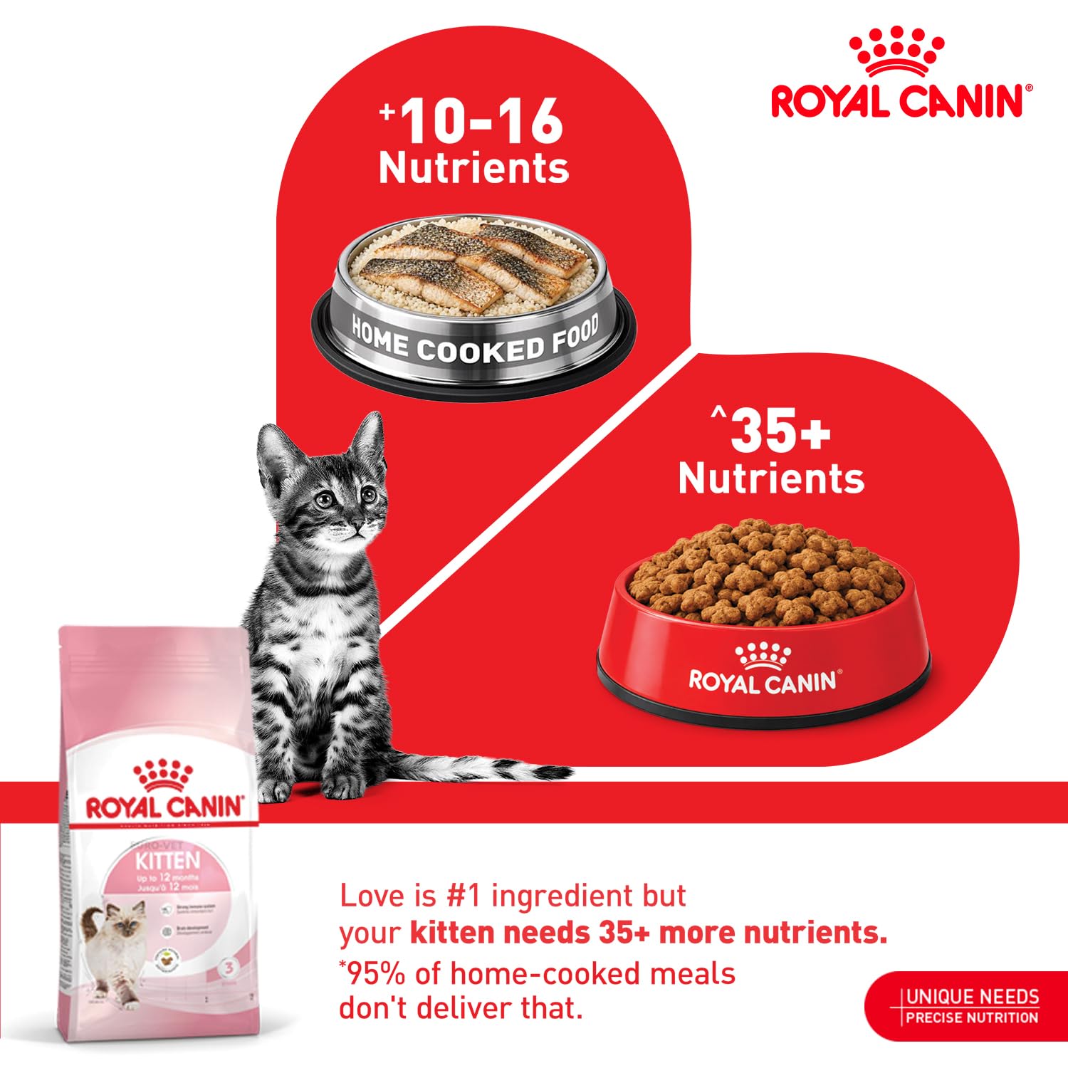 Amazon | ロイヤルカナン FHN キトン 子猫用 400g | ロイヤルカナン