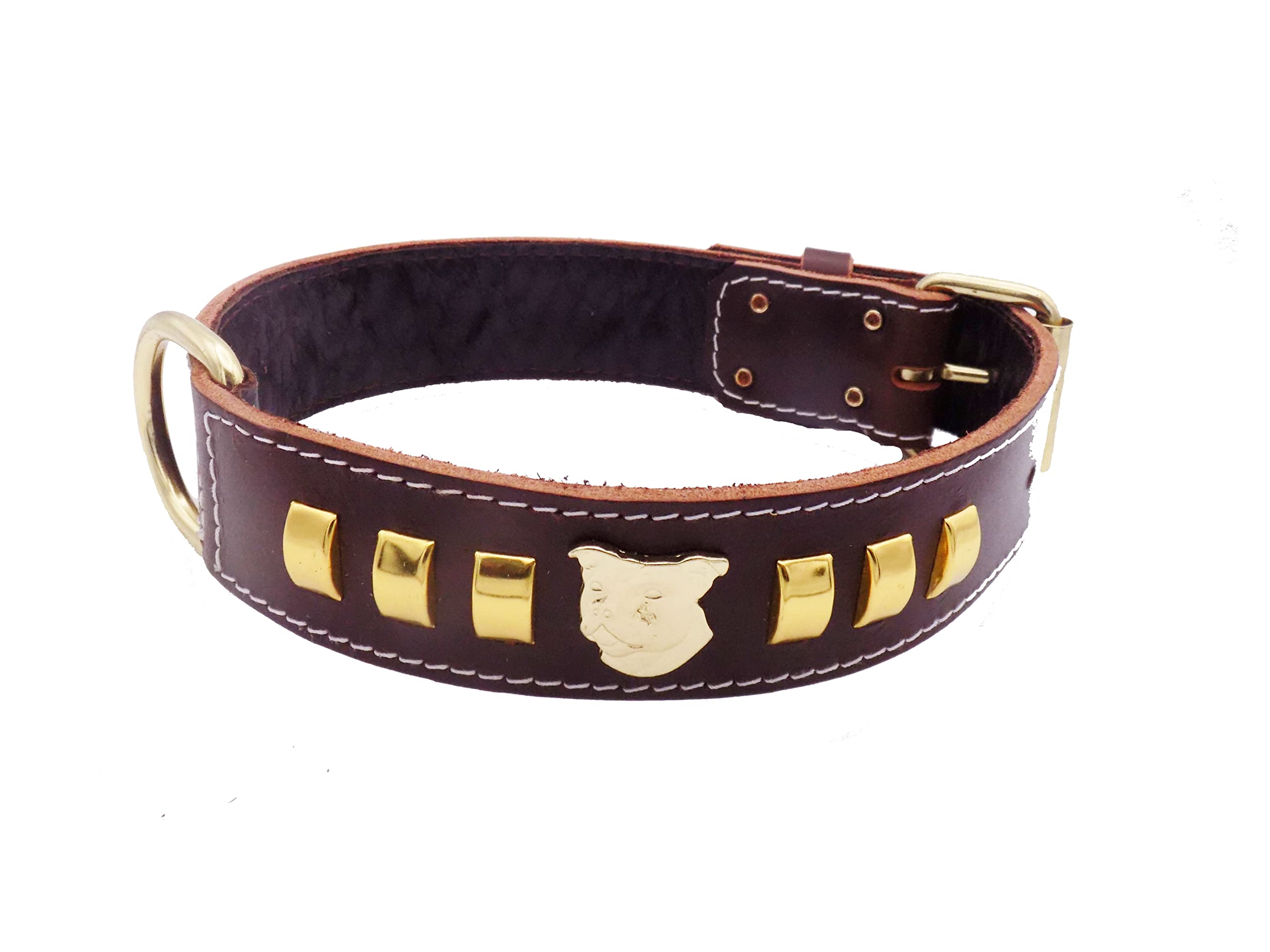 Staffy Brown Leather Dog Collar with Unique Gold Design and Staffordshire Bull Terrier Head Motif 1.5" Wide (Large: 20" - 24")