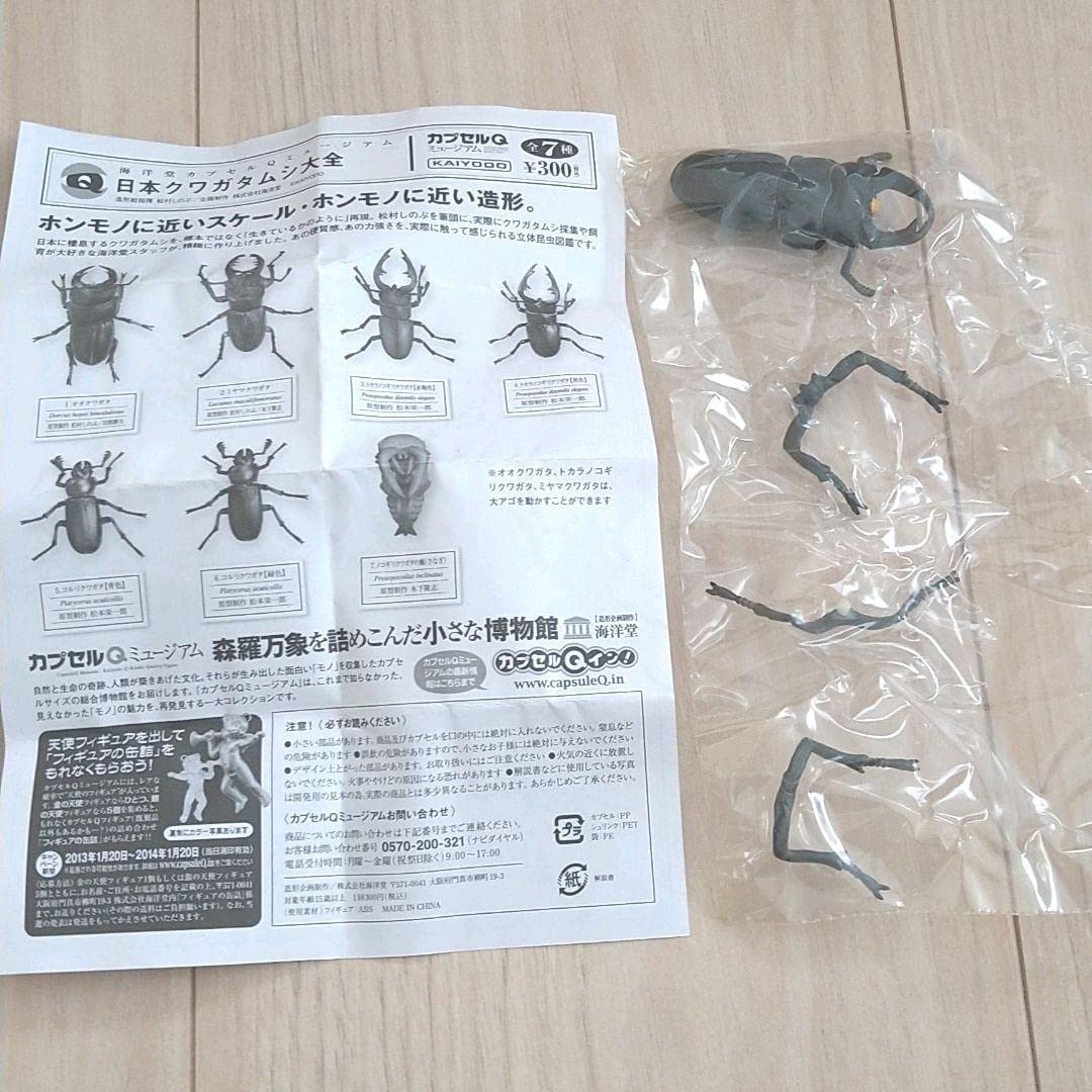 廃盤　希少　全7種コンプ 「カプセルQミュージアム 日本クワガタムシ大全」 廃盤 希少 全7種コンプ 「カプセルQミュージアム 日本